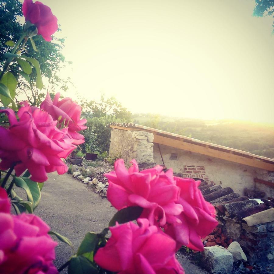 Le Mas Des Papillons Fargues  Luaran gambar